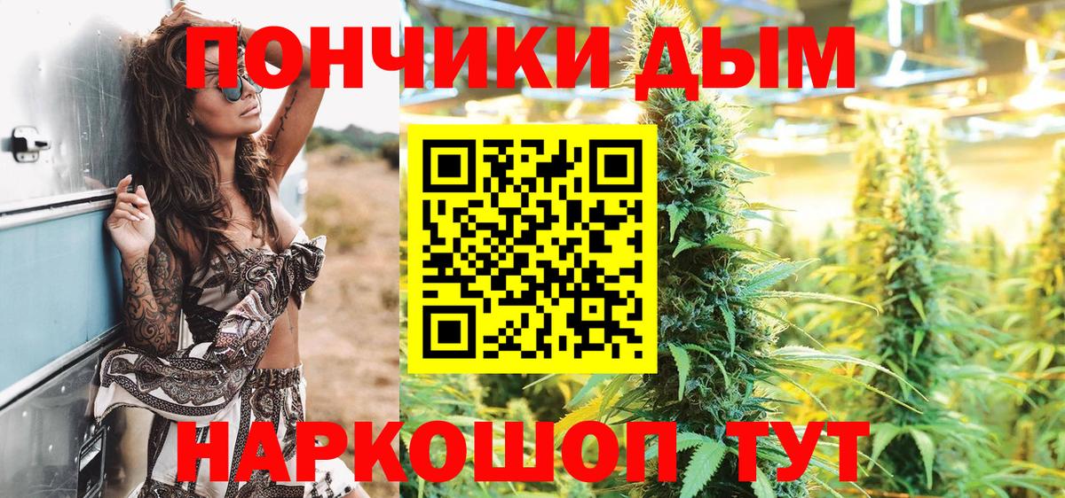 МАРИХУАНА сатива Надым